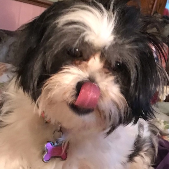 Meet your Posher, Becky - Picture 4 of 6